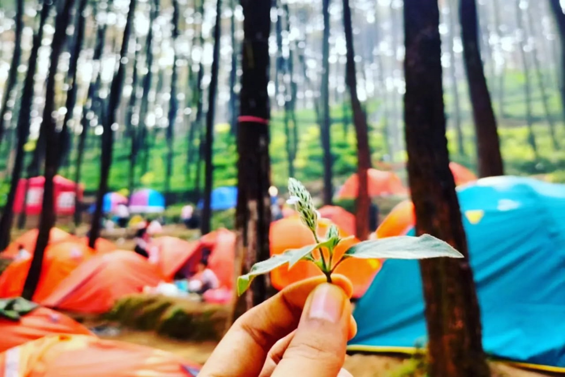 Klurak Eco Park di tahun 2026